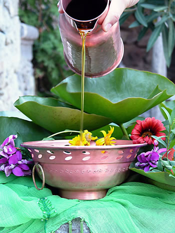 فرادرمانی کپی ناقص و آسیب زا از آیورودا Ayurveda