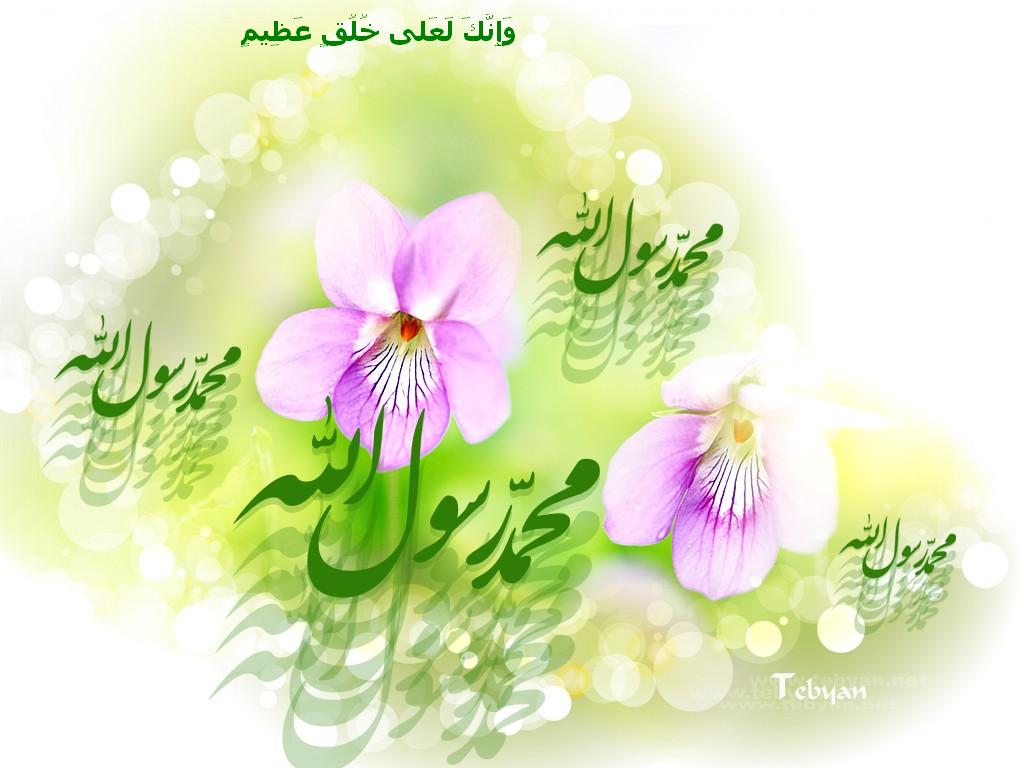 حقیقت محمدیه ، واسطه میان حق و خلق حقیقت محمدیه ، واسطه میان حق و خلق