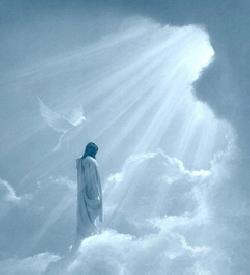 مرگ، یا تحول بزرگ تکاملی