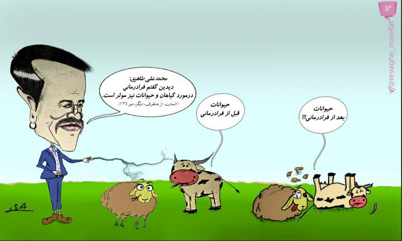 ۱2) تأثیر فرادرمانی بر حیوانات