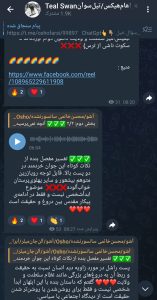 جدال مروجان معنویت‌های انحرافی؛ نزاع محسن خاتمی و رویا زرین در میدان فریب